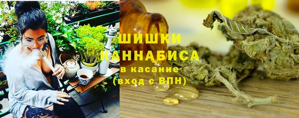сатива Арсеньев