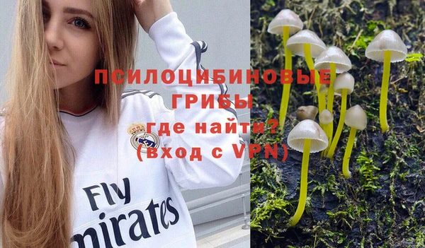 мескалин Аркадак