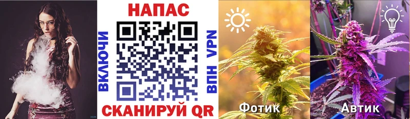 KRAKEN Майкоп Марихуана конопля купить